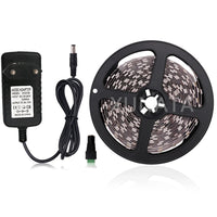 Waterproof Flexible Led Tape Ribbon Power Plug Kit 12