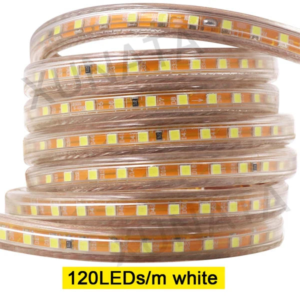 Row 220V Power SMD2835 Waterproof LED Ribbon Rope Lights Home Decoration Lighting Warm White