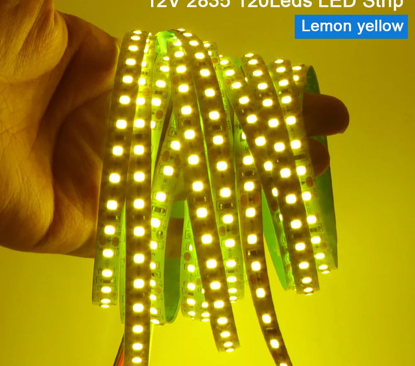 Super Bright Led Strip Light 5m 10m 12V 24V 2835 120LED/