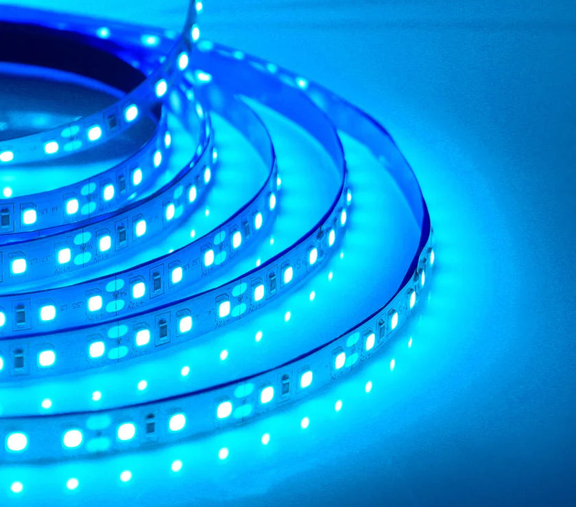 Super Bright Led Strip Light 5m 10m 12V 24V 2835 120LED/