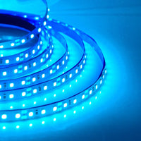 Super Bright Led Strip Light 5m 10m 12V 24V 2835 120LED/
