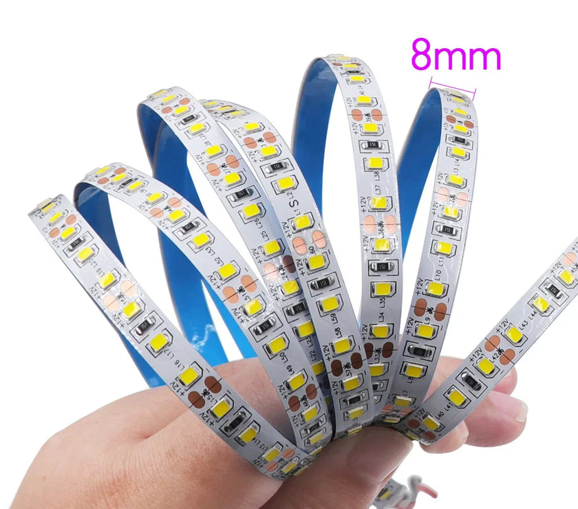 Super Bright Led Strip Light 5m 10m 12V 24V 2835 120LED/