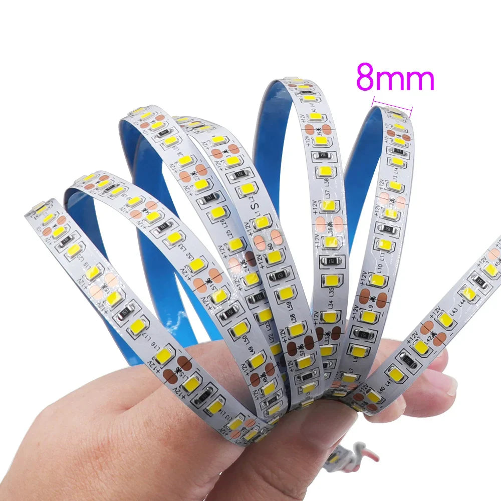 Super Bright Led Strip Light 5m 10m 12V 24V 2835 120LED/