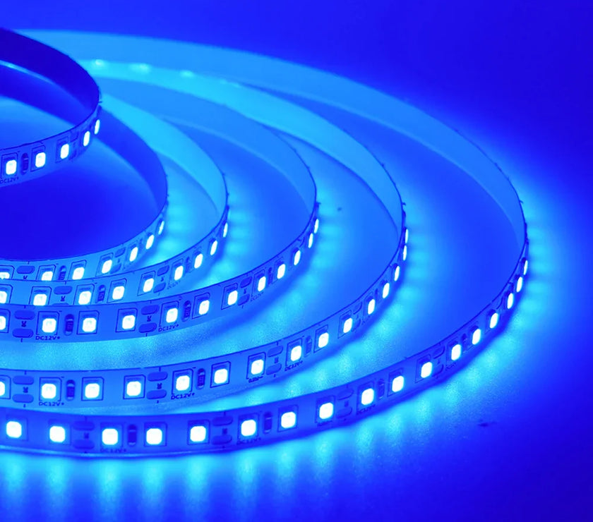 Super Bright Led Strip Light 5m 10m 12V 24V 2835 120LED/