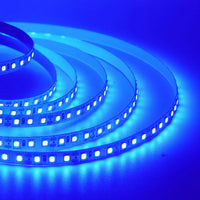 Super Bright Led Strip Light 5m 10m 12V 24V 2835 120LED/