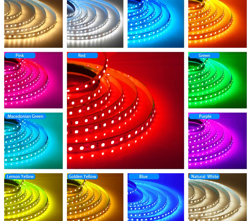 Super Bright Led Strip Light 5m 10m 12V 24V 2835 120LED/