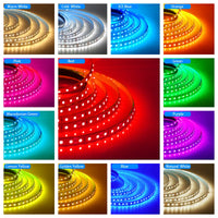 Super Bright Led Strip Light 5m 10m 12V 24V 2835 120LED/
