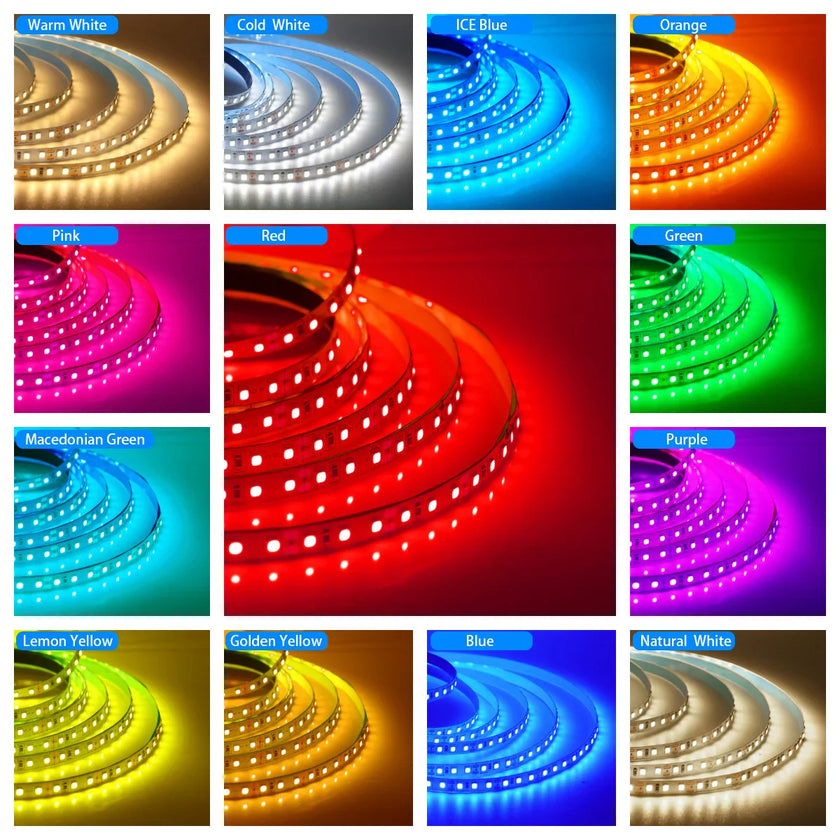 Super Bright Led Strip Light 5m 10m 12V 24V 2835 120LED/