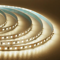Super Bright Led Strip Light 5m 10m 12V 24V 2835 120LED/
