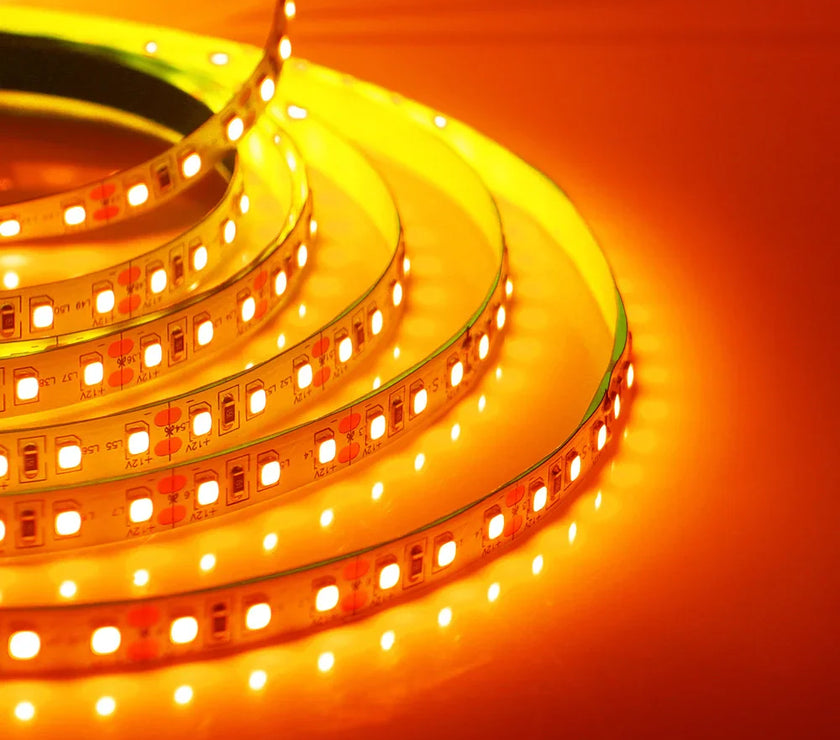 Super Bright Led Strip Light 5m 10m 12V 24V 2835 120LED/