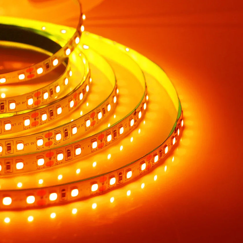 Super Bright Led Strip Light 5m 10m 12V 24V 2835 120LED/