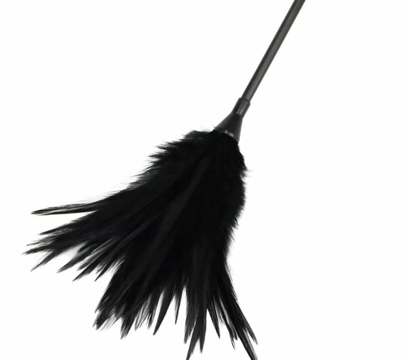 BDSM Adult Games Sex Products Tickle Sex Toys Feather Whip Flirt toys Sexy Whip Policy Knout Novelty Toy for Couple Sex Fun Game