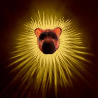 Living Room Decoration Corridor Lighting Owl Lion Wall Lights