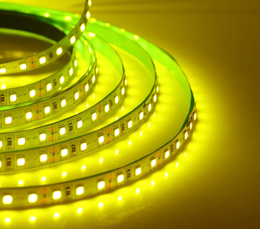 Super Bright Led Strip Light 5m 10m 12V 24V 2835 120LED/