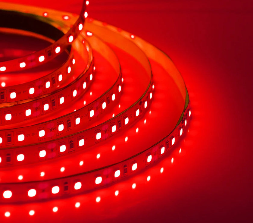 Super Bright Led Strip Light 5m 10m 12V 24V 2835 120LED/