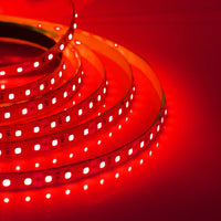 Super Bright Led Strip Light 5m 10m 12V 24V 2835 120LED/