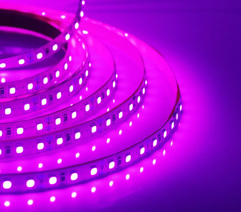 Super Bright Led Strip Light 5m 10m 12V 24V 2835 120LED/
