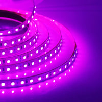 Super Bright Led Strip Light 5m 10m 12V 24V 2835 120LED/