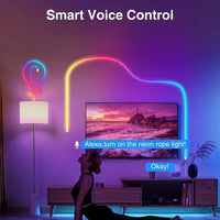 8ft 10M WIFI RGBIC Neon Rope Light 24V Magic Home LED Strip Lights