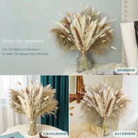 Pampas Grass Decor Boho Home Decor Bouquet Natural Fluffy Dried Flowers for Wedding Floral Arrangements Wall Farmhouse Table Dec