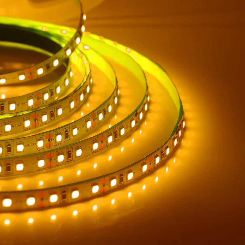 Super Bright Led Strip Light 5m 10m 12V 24V 2835 120LED/