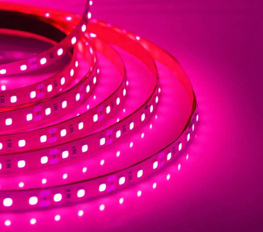 Super Bright Led Strip Light 5m 10m 12V 24V 2835 120LED/