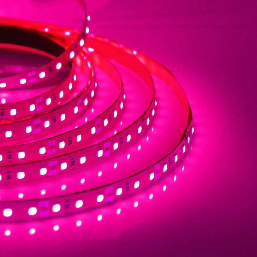 Super Bright Led Strip Light 5m 10m 12V 24V 2835 120LED/